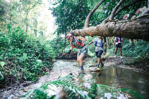 BIB: 
                            <button type="button" onclick="openModal(25442015)" class="btn btn-primary btn-sm float-right btn-popup" data-toggle="modal" data-target=".modal-high-quality">
                        <i class="fas fa-shopping-cart"></i> Add to Cart
                    </button>
                                            <button type="button" onclick="isThisMe(25442015, true)" class="btn btn-success btn-sm float-right btn-popup btn-isme hidden" data-toggle="tooltip" data-placement="bottom" title="นี่คือรูปของคุณใช่ไหม คลิกที่นี่เพื่อเอาเข้าอัลบั้ม">
                        <i class="fas fa-plus"></i> Add to album
                    </button>
                    <button type="button" onclick="isThisMe(25442015, false)" class="btn btn-warning btn-sm float-right btn-popup btn-isnotme hidden">
                        <i class="fas fa-ban"></i> Remove from album
                    </button>